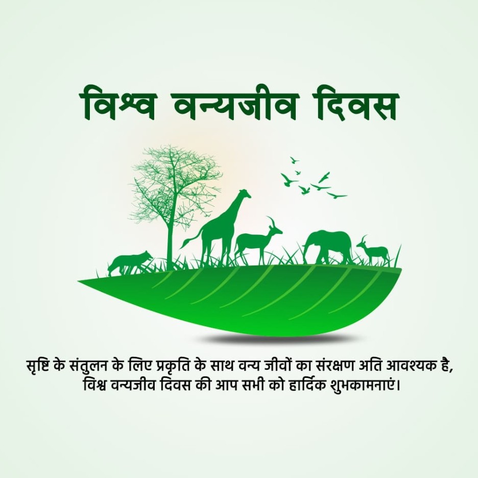 World Wildlife Day: 03 March | Download Poster, Status and hd PHotos Free 18 World Wildlife Day Graphics